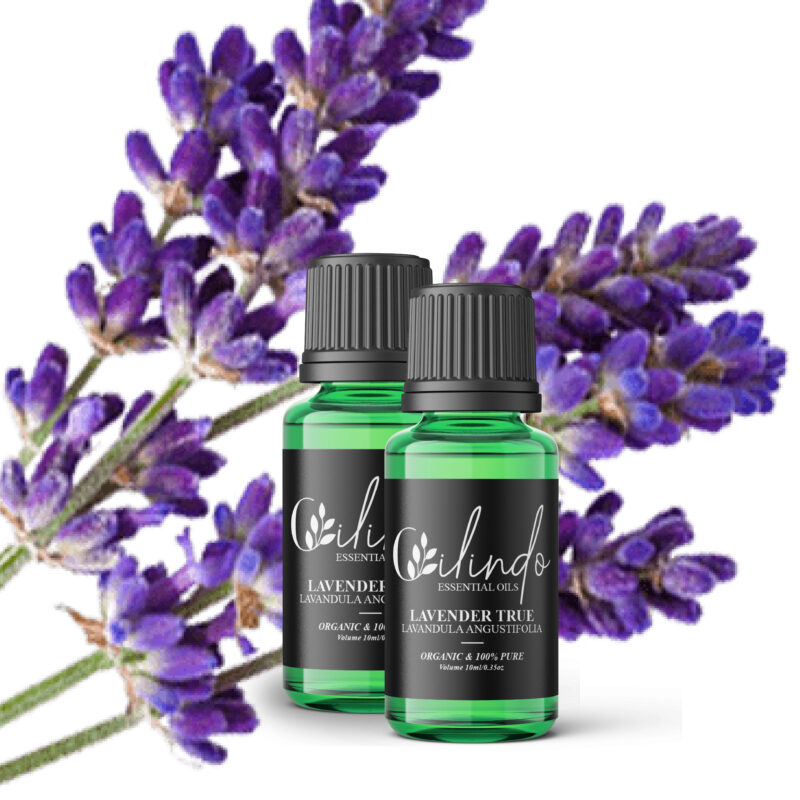 Lavender (Lavandula Angustifolia) Organic Essential Oil - 15ml (Including IVA)