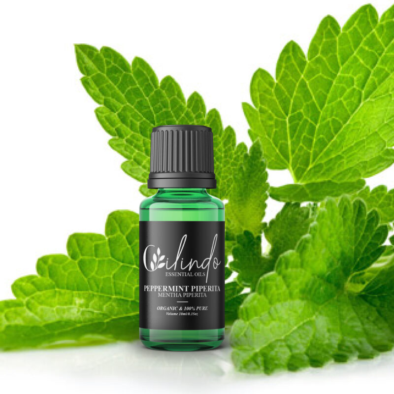 Peppermint Piperita (Mentha Piperita) Organic Essential Oil - 15ml (Including IVA)