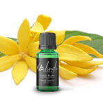 Ylang Ylang (Cananga Odorata) Organic Essential Oil -15ml (Including IVA)