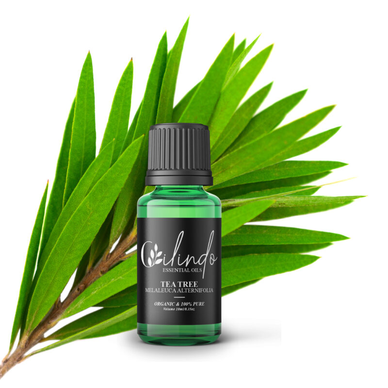 Tea Tree (Melaleuca Alternifolia) Organic Essential Oil - 15ml (Including IVA)