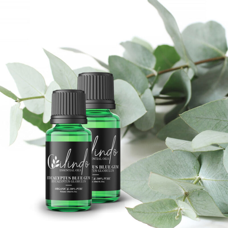 Eucalyptus (Eucalyptus Globulus) Organic Essential Oil - 15ml (Including IVA)