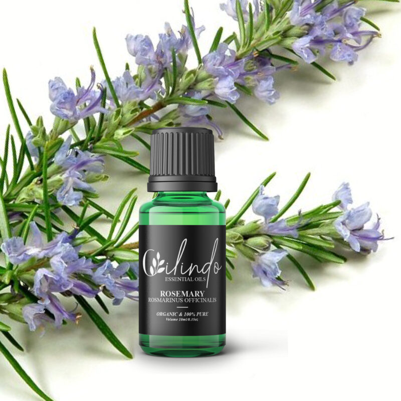 Rosemary (Rosmarinus Officinalis) Organic Essential Oil - 15ml (Including IVA)