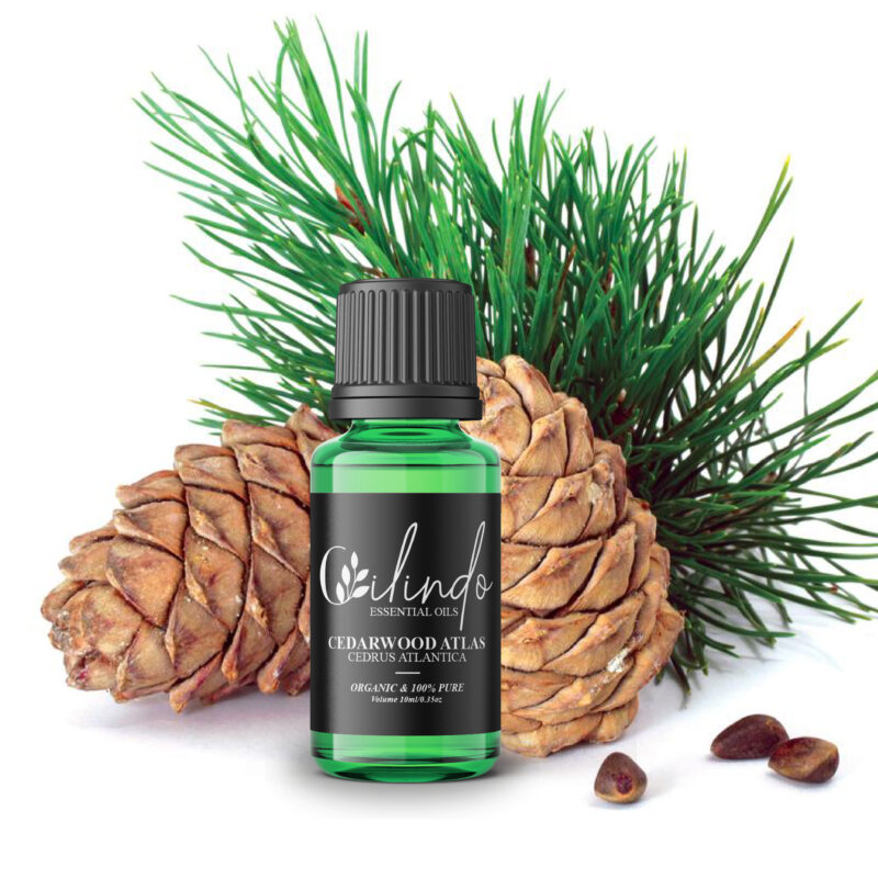 Cedarwood (Cedrus Atlantica) Organic Essential Oil - 15ml (Including IVA)