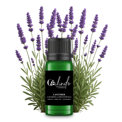 Lavender (Lavandula Angustifolia) Organic Essential Oil - 15ml (Including IVA)