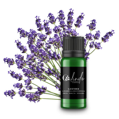 Lavender (Lavandula Angustifolia) Organic Essential Oil - 15ml (Including IVA)