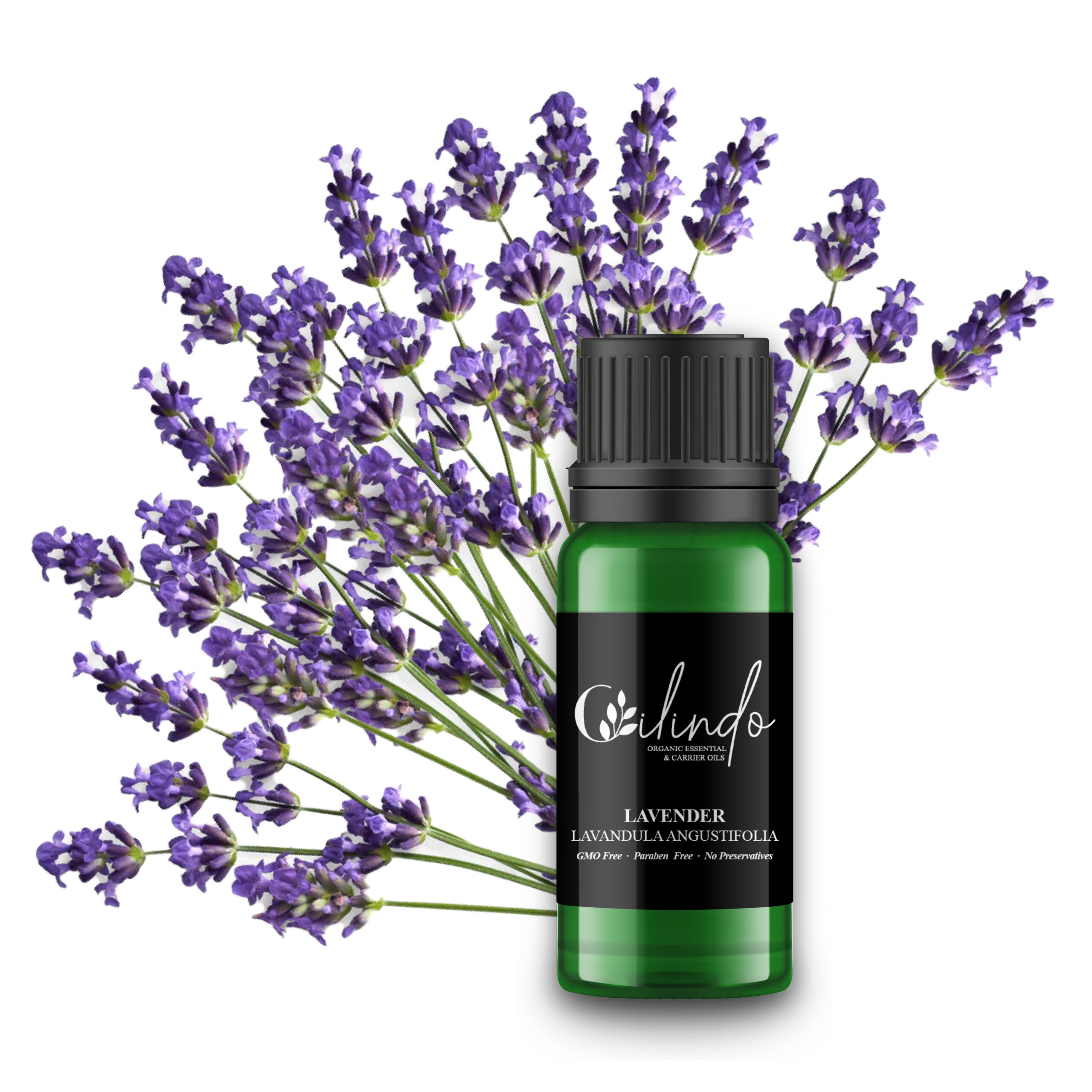 Lavender (Lavandula Angustifolia) Organic Essential Oil - 15ml (Including IVA)