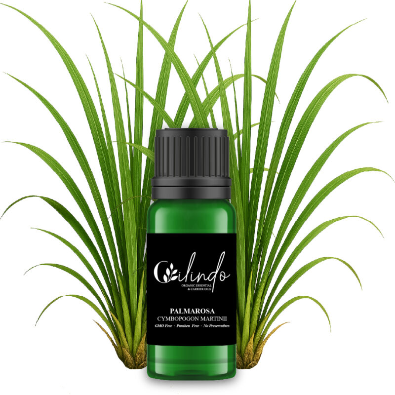 Palmarosa(Cymbopogon Martinii) Organic Essential Oil - 15ml (Including IVA)