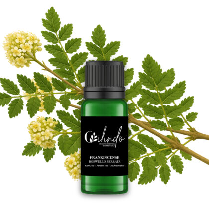Frankincense(Boswellia Serrata) Organic Essential Oil -15ml (Including IVA)
