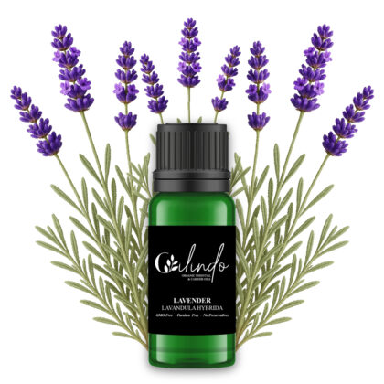Lavender (Lavandula Hybrida) Organic Essential Oil -15ml (Including IVA)
