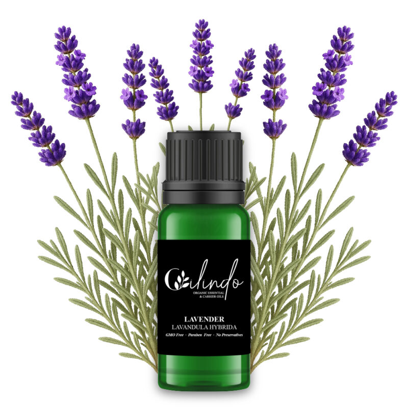 Lavender (Lavandula Hybrida) Organic Essential Oil -15ml (Including IVA)