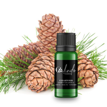 Cedarwood (Cedrus Atlantica) Organic Essential Oil - 15ml (Including IVA)