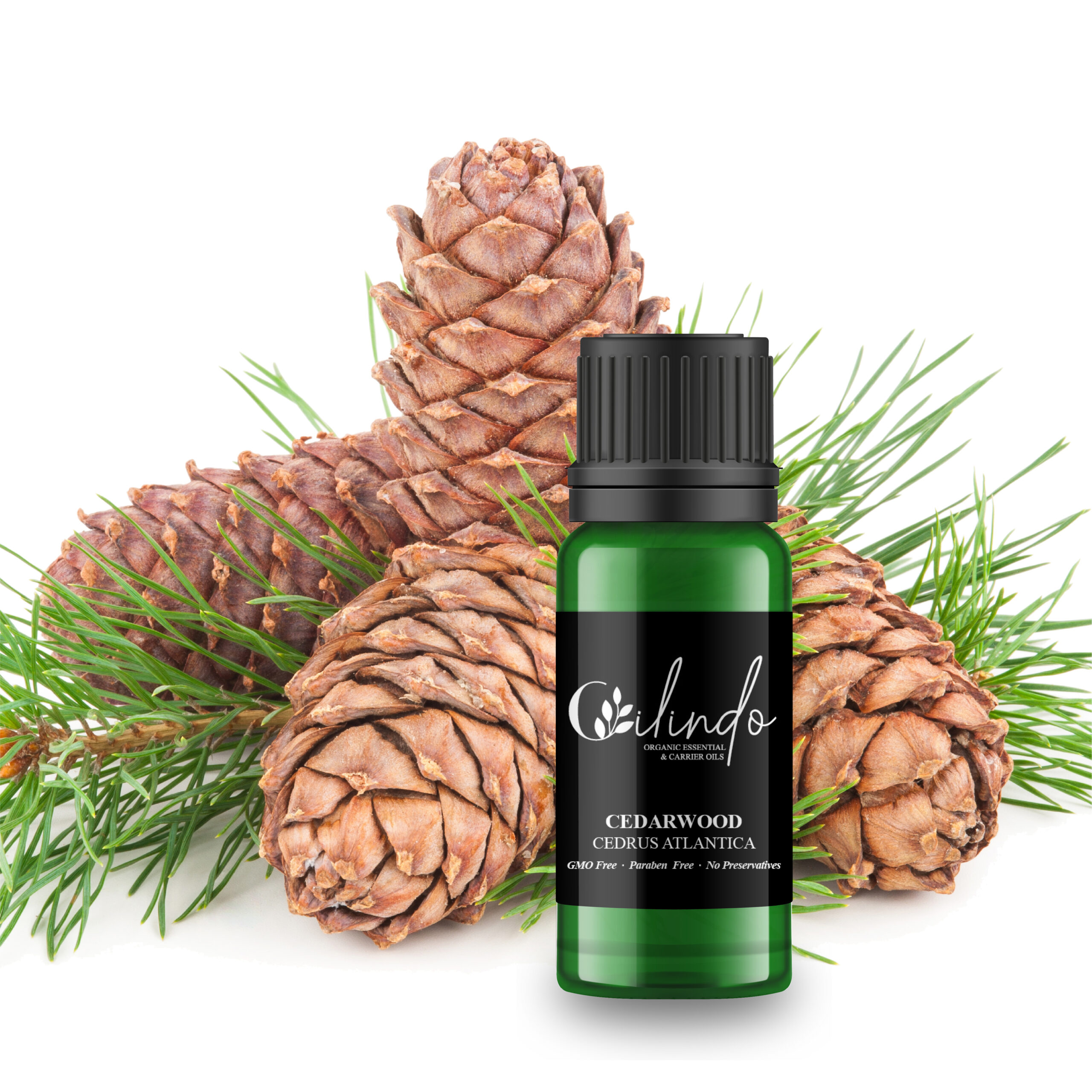 Cedarwood (Cedrus Atlantica) Organic Essential Oil - 15ml (Including IVA)