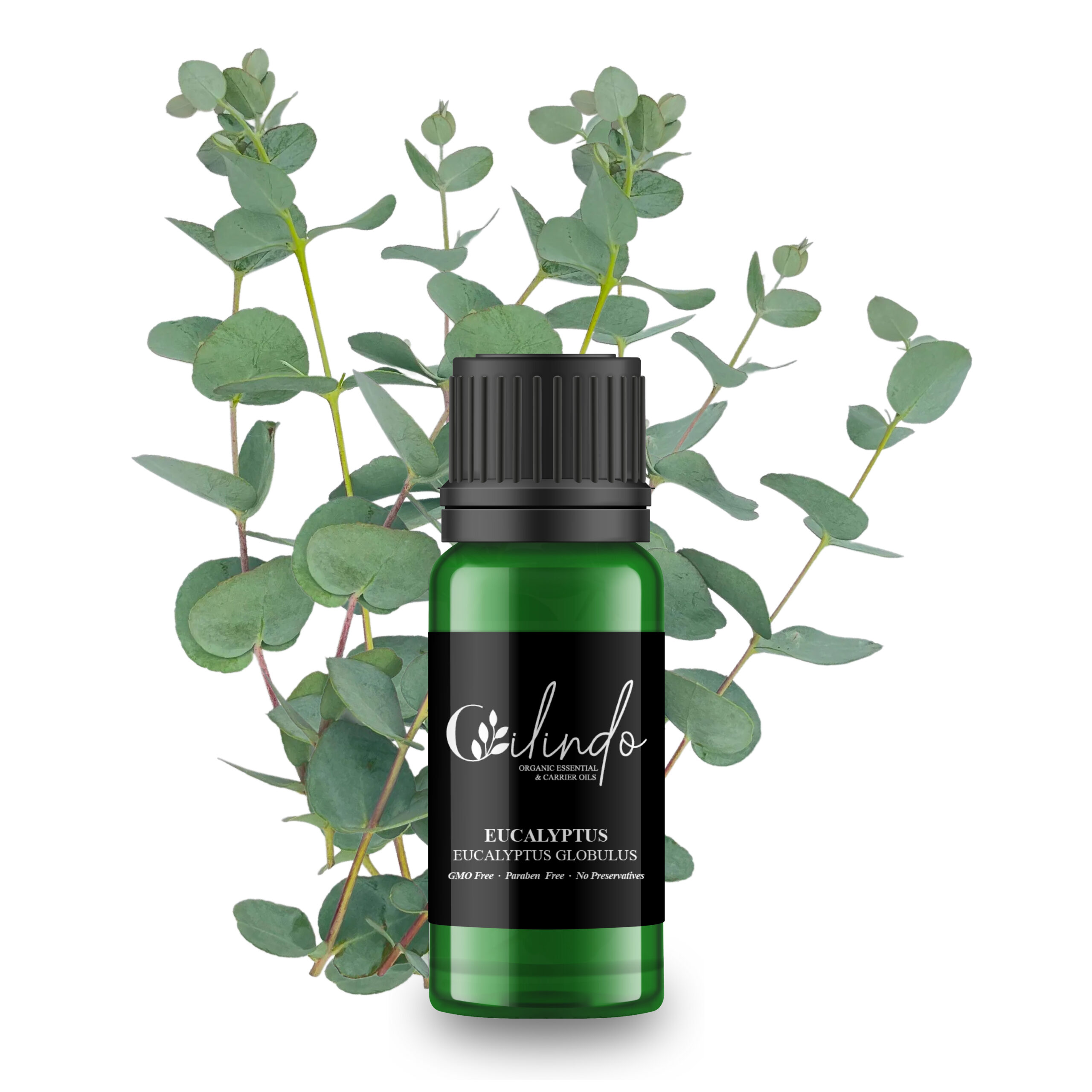 Eucalyptus (Eucalyptus Globulus) Organic Essential Oil - 15ml (Including IVA)