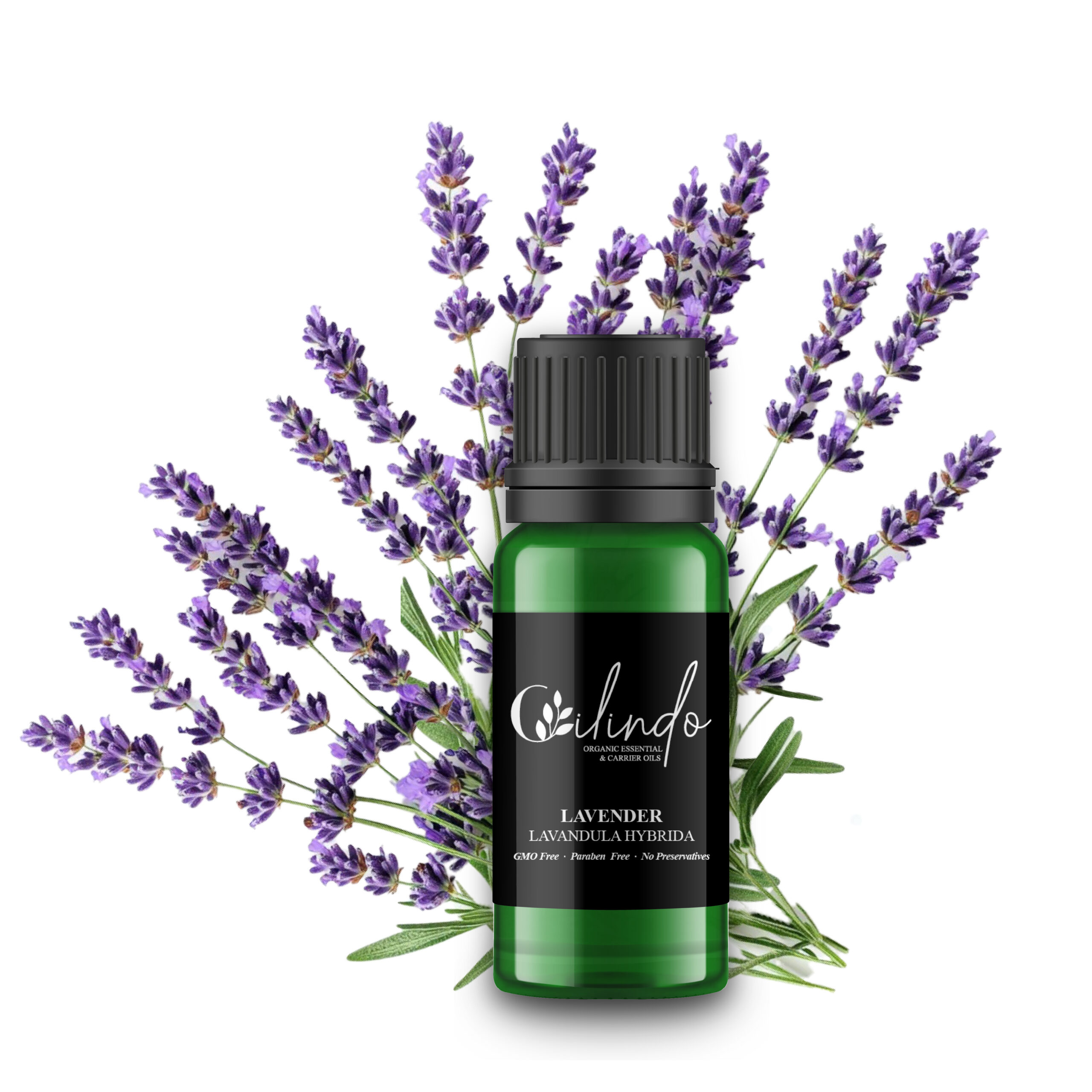 Lavender (Lavandula Hybrida) Organic Essential Oil -15ml (Including IVA)