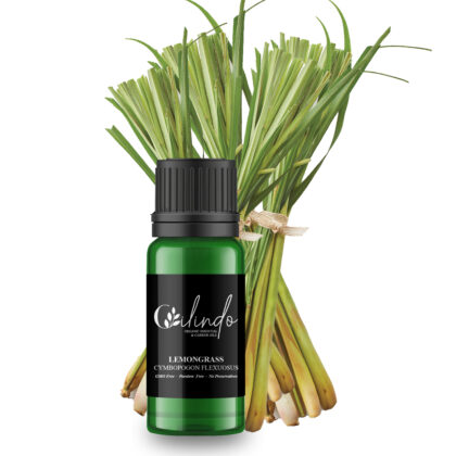 Lemongrass (Cymbopogon Flexuosus) Organic Essential Oil - 15ml (Including IVA)