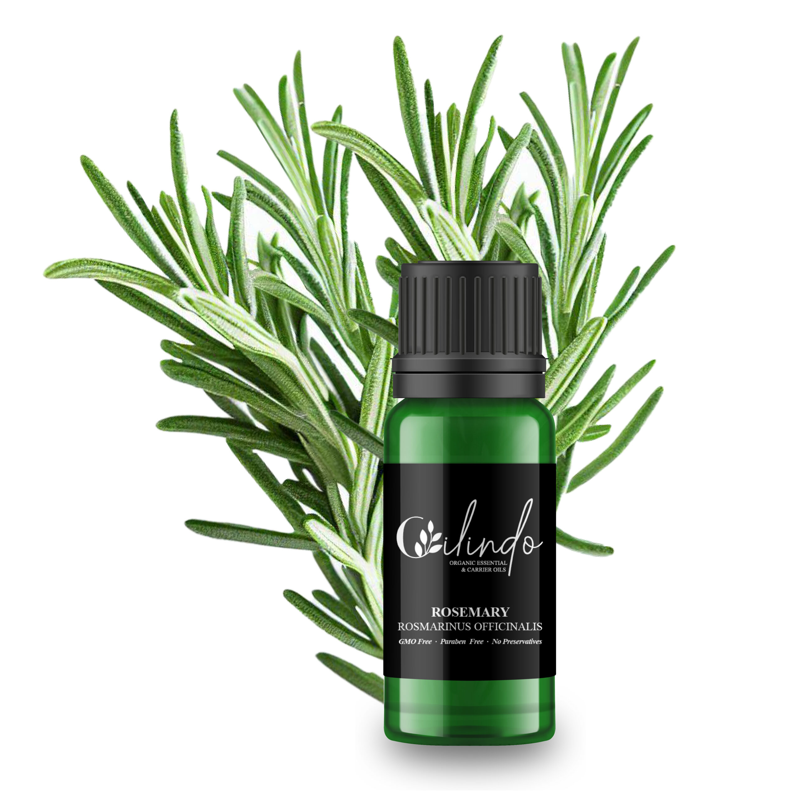 Rosemary (Rosmarinus Officinalis) Organic Essential Oil - 15ml (Including IVA)